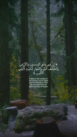 📖 Surah Ali ‘Imran (190-192) سورة آل عمران  🎙️Omar bn Diaa Aldeen عمر بن ضياء الدين   @عمر بن ضياء الدين #qu#qurans#islamu#muslimtiktoke#recitationر#قرأنل#القرأن_الكريم