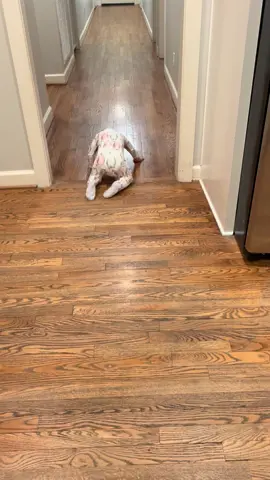 The kid’s got moves