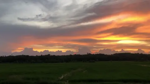 #senja #maghreb #sunset #aesthetic #adzan #azan #suasanapedesaan #suasanadikampung #vibes #pesawahan #kampunghalaman #fyp 