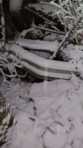 Tucker has been missing for 24 hours but we found his phone in the woods. this was his last video 