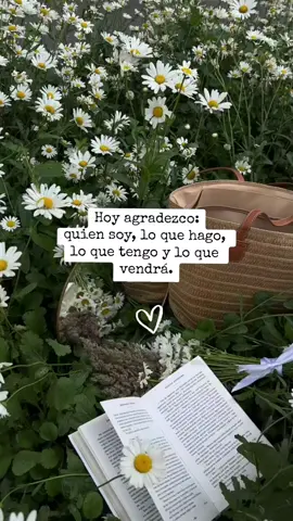 Feliz y bendecido inicio de semana 🥰❤️ #lunes #felizsemana #iniciodesemana #frasesbonitas #letras #confiaenti #Margaritas #tupuedes #confiaendios #diosesgrande #Dios #creeenti #frasedeldia #paratii #parati #foryou #agradecida #bendiciones #❤️ #💪🏻 