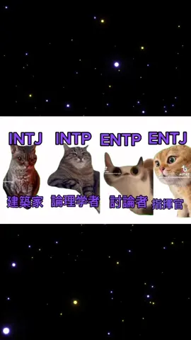 NT #MBTI #mbti診断 #猫ミーム #NT型 