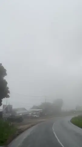 Puncak dan kabutnya. #fyp #aesthetic #enrekang 