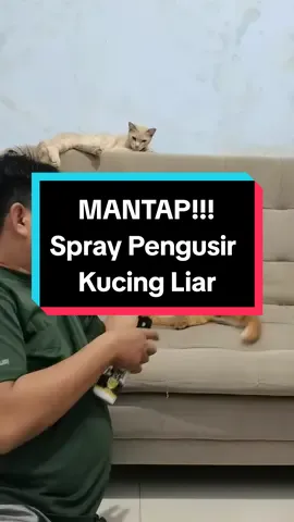 Punya anabul yang suka pup atau pip sembarangan? Produk ini cocok banget! #sprayantikucing #carausirkucing #tipsmerawatkucing #fyp #kucinglucu 