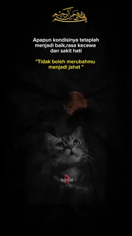 #storytime #storywa #selfreminderislamic #storykata #motivasi #fypシ゚viral🖤tiktok #bismillahfypシ 