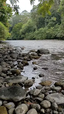 alam yang indah  #palembang #viral #ulurawasmuratarasumatraselatan #rawasulu ##musirawasutara 