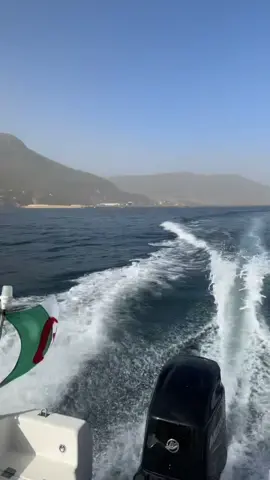 #tiktok #corales #wahrani #fyp #شعب_الصيني_ماله_حل😂😂 