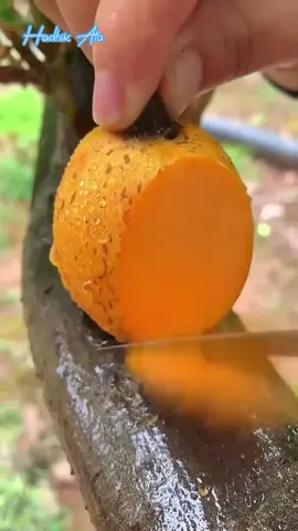 আমার বিয়ের গল্প  #funnyvideo😂😂😂 #tiktokbangladesh #funnyvoicevideo #funnyvideo #foryou #fyp #bdtiktokofficial #trendingvideo #unfrezzmyaccount #foryoupage 