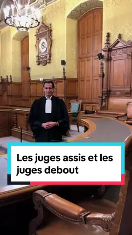 Un juge est chargé de rendre des décisions judiciaires. Le terme 