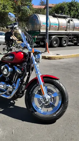 SPORSTER 1200C.C. CUSTOM #harleydavidson #motorcycle #sportsters #viraltiktok #ticktock #sportster #custom #low #mexico #mx #vicla @Mongu Gear 