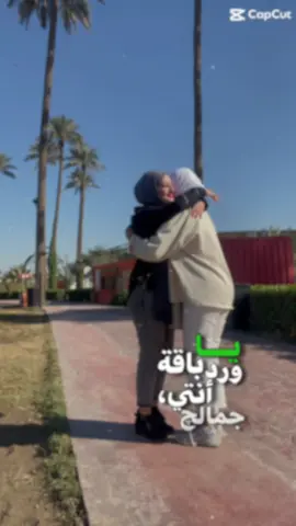 #ياباقة_ورد_انتي  #❤️❤️❤️  #صديقتي  #جامعة_الفراهيدي  #🔥 