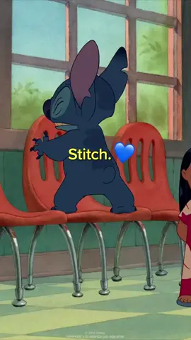 O momento exato da adoção do Stich. 🥰🥰🥰 #liloestitch #stitch #adoção #tiktokmefezassistir