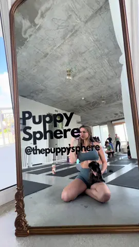 Puppy yoga 🤍🐶