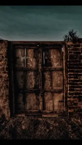 خلاص فهمتك يادنيا #رضاالبحراوي #fyp  #مصر_العراق_السعودية_تونس_المغرب_الجزائر #اكسبلور #موال #foryou #قديم #طرب @Tarek El Sheikh- طارق الشيخ @رضا البحراوي 