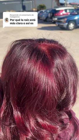 Respuesta a @halogianno @Torito_barber13 #lizareynoso #beautyblogger 