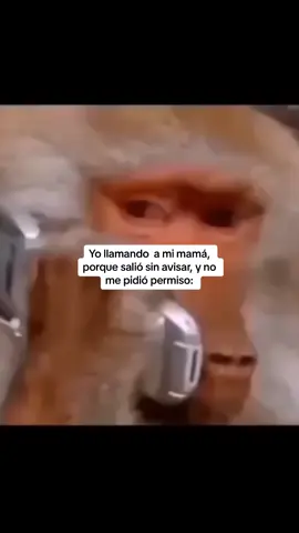 Mamá donde estas?!!😂 #mama #madres #entretenimiento #humortiktok #humor #memes #paratii 