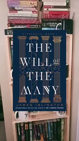 Just one of the books I'm currently reading. #bookrecommendations #BookTok #read #thewillofthemany 