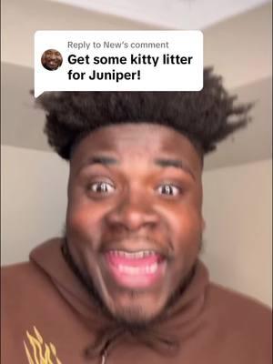 Replying to @New Juniper loves @PrettyLitter #prettylitter #prettylittercats #prettylitterkitty