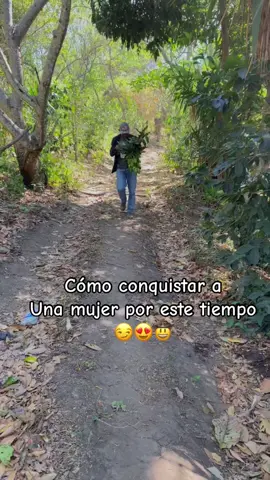 Mi chula te traigo parati estos mangos 🙊😅🤠#parati #fypシ #viral #fyp #guatemala_502 #tiktok 