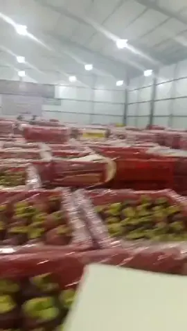 Bismillahhh Gelem Obah Insyallah Mamah, Siap Berangkat Manggis Kwalitas Ekspor Bali - Jakarta ... #Pejuangreceh #pengusahamuda #korbanperasa'an #Manggisbali #manggisexsport 