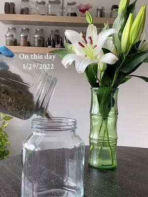 #onthisday I’ve been working with honey for some years now ☺️🙏🏽  seeing the methods and techniques change as i continue to grow and study will always be my favorite part #herbs #herbalism #honey 