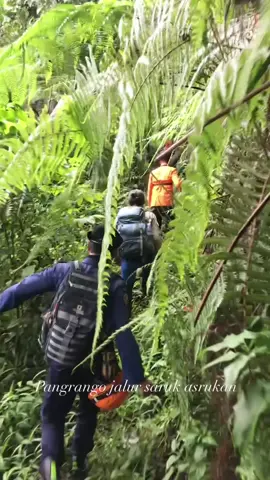 13 peziarah yang tersesat sejak Minggu 28/1/2024 di kawasan Gunung Pangrango akhirnya ditemukan dalam keadaan selamat. “Sudah, ini sudah ditemukan, kami lagi melakukan pendataan,” kata Kepala UPT Damkar Sektor Ciawi Nendri kepada Radar Bogor Senin (29/1/2024). Nendri memaparkan, kondisi para peziarah yang tersesat di Gunung Pangrango itu dalam keadaan sehat tanpa ada luka-luka. “Semuanya kondisinya baik,” paparnya. Lanjut Nendri, para peziarah itu ditemukan di salah satu lembah yang ada di kawasan Gunung Pangrango. “Mereka juga bawa perbekalan,” tuturnya. #pendaki #beritanasional #indonesia #naikgunung #gunungpangrango 