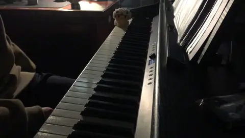 huhu cóng tay wa mng ơi🥺 #piano #tamtrang #xuhuong #fyp #neungayay #pianotutorial 