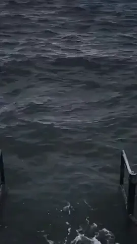 #Meme #MemeCut #CapCut#duktuwalalanattakholla#fypシ゚viral 