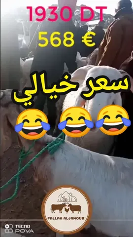 السوق الاسبوعية بقفصة 😁 تابعو فلاح الجنوب عالفايسبوك : Fallah Al Janoub #طبيعة_ساحرة #فلاح_الجنوب #france🇫🇷 #italy🇮🇹 #حكايات_تونسية🇹🇳🇹🇳🇹🇳 #South_Falah #طبيعة_ساحرة #طبيعة #فلاح_الجنوب #حكايات_تونسية 