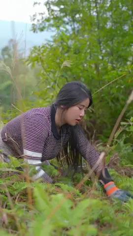 #amthuctrunghoa #cook #life #cooking 