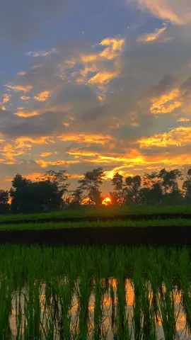 Terima kasih kerinduan yang indah bagaikan candu, ingin terus ku rasa walau tanpa pertemuan😊 #sholawat #albanjari #mahalulqiyam #senja #sunset #anakrantau #fyp #fypシ 