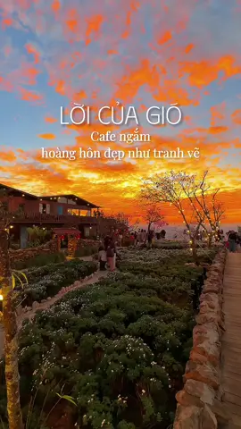 Đi Đà Lạt mà không ghé cafe này ngắm hoàng hôn là 1 sự thiếu sót nha, quán cũng có trang trí Tết nữa nè🤍☀️ #thanhthoiluottet #cafe #reviewcafe #loicuagio #dalat #reviewdalat #hoanghondalat #dulichdalat