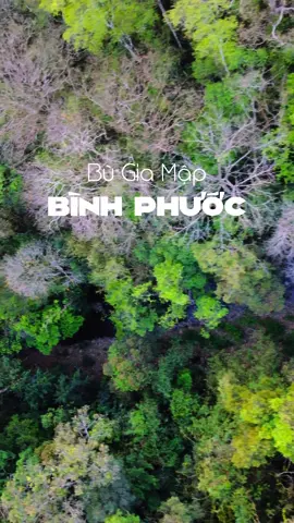 Hành trình đến với Bù Gia Mập 🥰 #homnaydidau #tiktoktravel #cuongcas #checkinvietnam #thanhxuan #travel #vietnam #bugiamap #vuonquocgiabugiamap #binhphuoc 