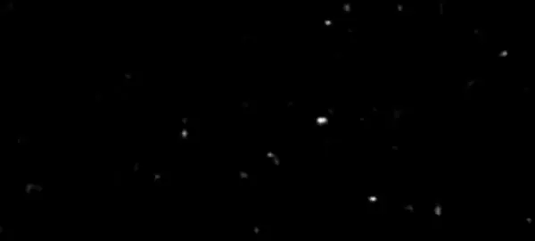 #علي_بن_ابي_طالب #مقولات_وحكم_ونصائح #مقولات_علي_ابن_ابي_طالب #ياعلي_مولا_عَلَيہِ_السّلام #امير_المؤمنين #foryou #fyp #fypシ #L3🤎 #ياالله #يامحمد #ياعلي 