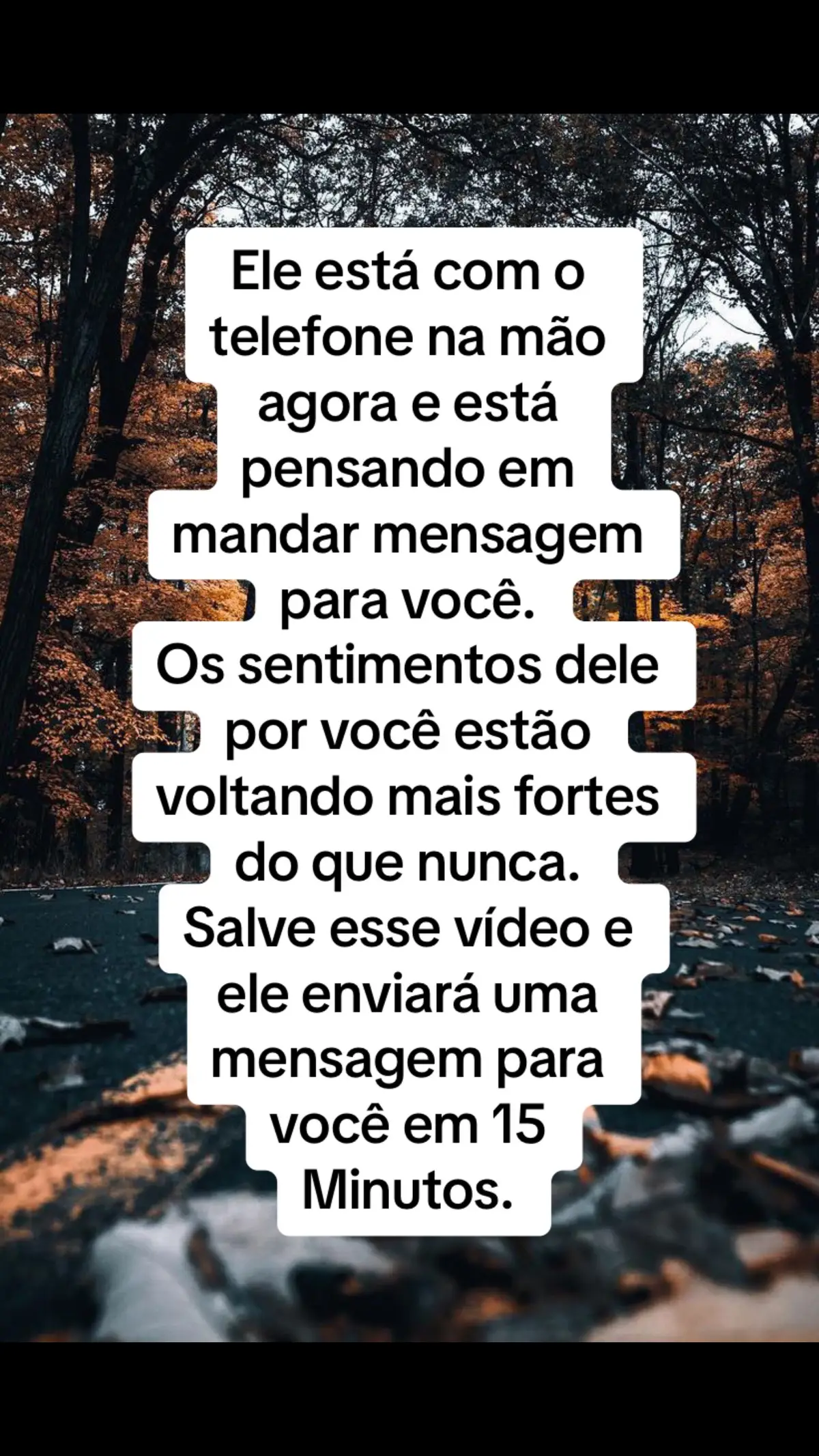 Agente sua consulta 14997251514