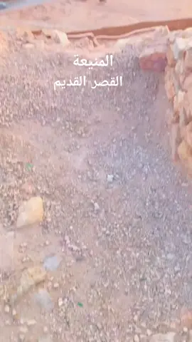 #الجزائر_تونس_المغرب_الاماراات_مصر #الجزائر_ليبيا_تونس_موريتانيا_المغرب #المنيعة___وتحيآ__نآس__صحرى_💛 