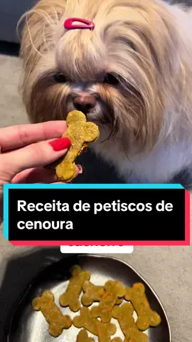 Mais uma receitinha de petiscos saudáveis e naturais, com o Selo Maya Cristina de Aprovação 😂❤️ Os ingredientes utilizados foram: 1 banana média 1/2 cenoura média 1 ovo 1 1/2 xícaras de farinha de aveia 1/2 colher de chá de cúrcuma (opcional) Para acessar a receita completa e detalhada, é só clicar no link da bio 🥰 #receitasdamayacristina  #dicasdamayacristina #alimentacaonatural #alimentacaonaturalpet #alimentacaonaturalparacaes #alimentacaonaturalcaes #petiscos #petiscospracachorro #petiscopet #mayacristina