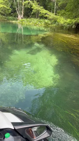 Check this out! Weedless JetSki #fish #clear #silversprings #silverriver #floridasprings #adventure #bestsprings 