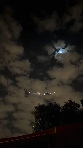 #fyp #explore 4:49AM 🎶.