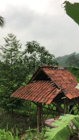 Suasana sore hari setelah turunnya hujan #suasanadikampung #pedesaansunda #pedesaanjawabarat #hidupdikampung #suasanapedesaan #pedesaan #sawah #fypシ #capcut #saung #sholawat #jamandulu 