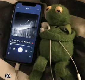 Tell Me Why I'm Waiting - Timmies #tellmewhyimwaiting #timmies #tellmewhyimwaitingforsomeone #spotify #lyrics #fyp #foryou #fypシ゚viral 