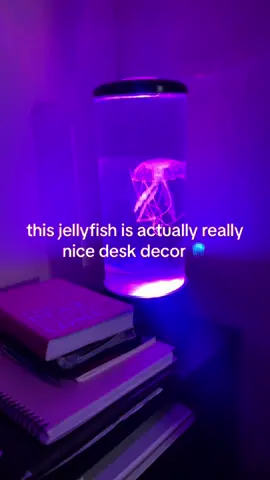 i want a real one now 🧐🪼 #fyp #jellyfish #animals #decor 