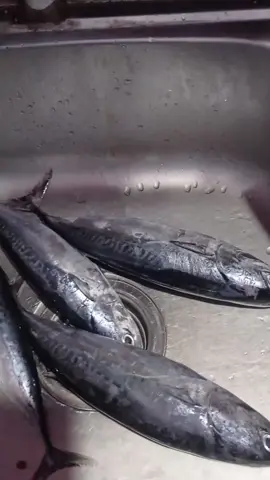 cok_koncok nama nya... 😅 di tempat kalian ada enggak olahan ikan begini... 🙏😇#cemilanenak#masakankhasmadura#