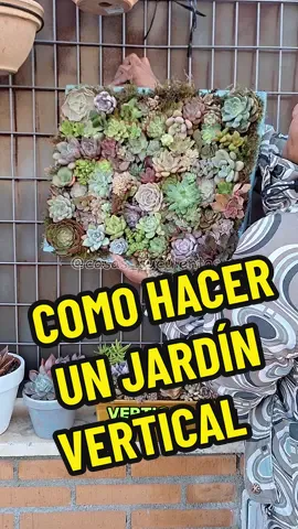 Historiacde un precioso jardín vertical.. ¿Te animas a hacer uno? . #jardinvertical #suculentas #cuadrovivo #tutorial 