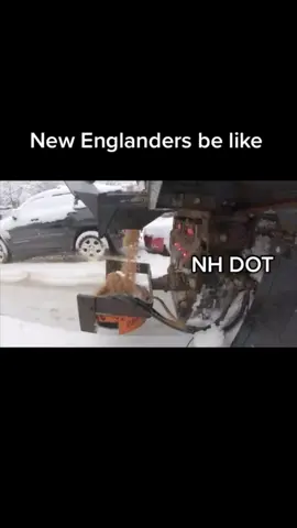 Based on a true story ☃️#DriveHub #jeep #blizzard #nh #SuperBowl 