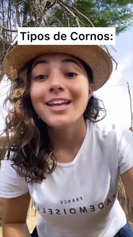 Conhecem qual ? #cornos 