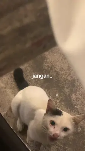 #her #fypシ #xyzbca #favsenior #favjunior #trending 