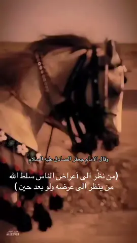 #اقوال_وحكم_الامام_علي_عليه_الاسلام ##اقوال #الامام_علي_بن_ابي_طالب ##اميرالمؤمنين_علي_بن_ابي_طالب 