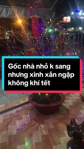 Dây đèn lad chồng mua trang trí cây mai nhỏ cho nhà thêm xinh #daydenledtrangtri #daydenleddoimau #đayenledtrangtritet 