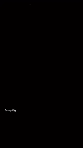 #funnypig #funny #viralvideo #trend #fyp #xuhuong 